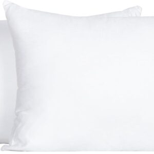 FLXXIE 2 Pack Small Cotton Down Alternative Pillows, Super Soft and Breathable Small Pillows for Sleeping, Travel, 13x18 Inches