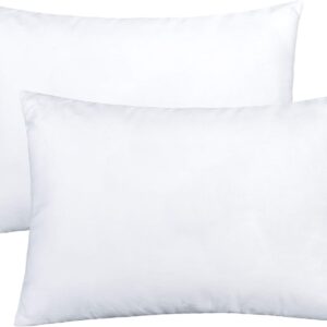 NTBAY 2 Pack Cotton Down Alternative 13x18 Pillows, Machine Washable - Soft and Breathable Travel Small Pillows for Sleeping, Ideal for Daycare, Crib, Cot
