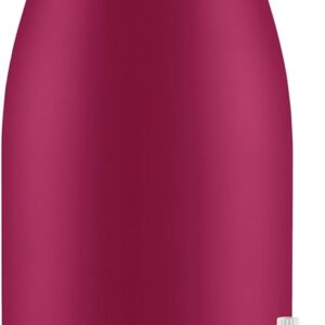 Brita Insulated Filtered Water Bottle with Straw, Reusable, Stainless Steel Metal, Ruby, 32 Ounce